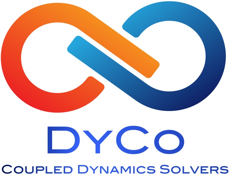 File:Dyco96 Solvers.jpg