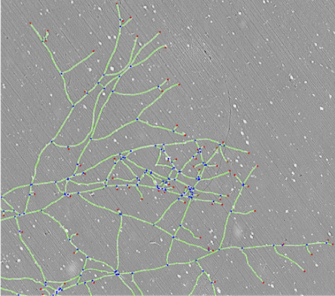 File:Imagecentrale2.png