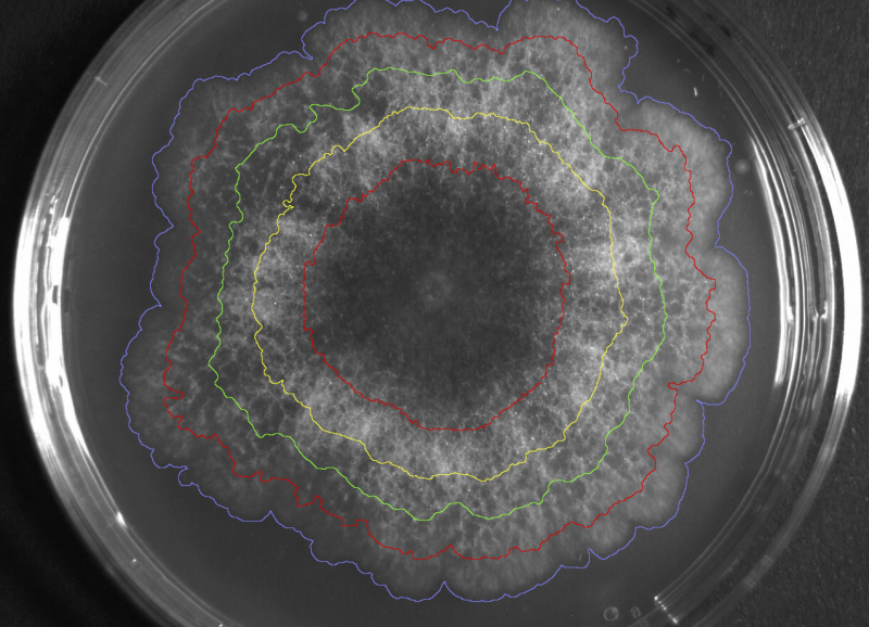 File:Petri2.png